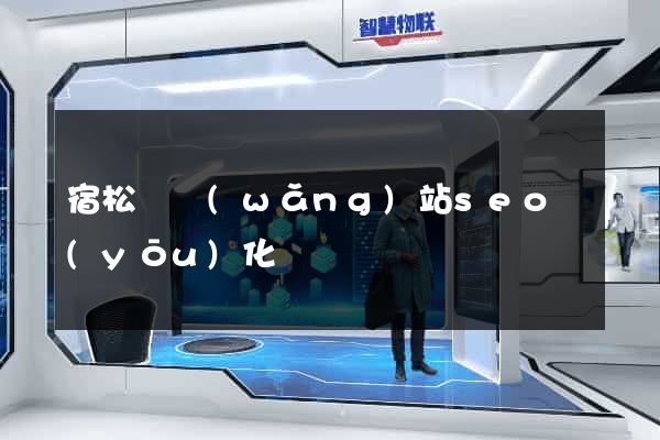 宿松縣網(wǎng)站seo優(yōu)化