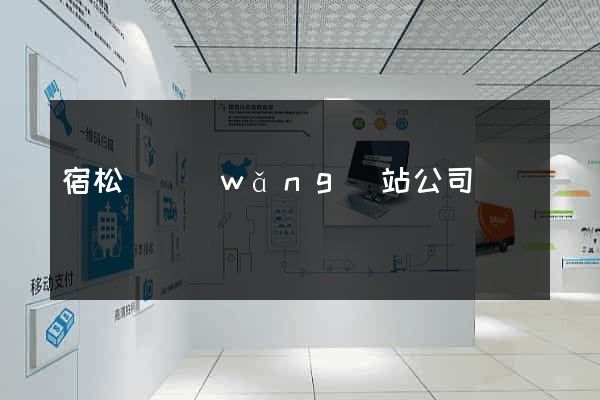 宿松縣網(wǎng)站公司