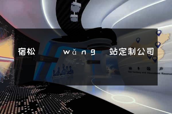 宿松縣網(wǎng)站定制公司