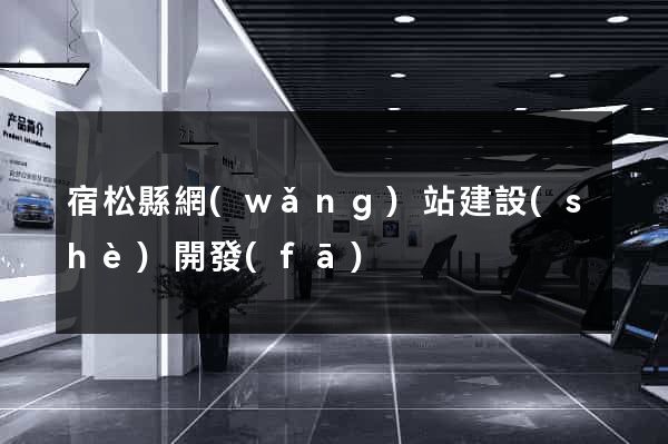宿松縣網(wǎng)站建設(shè)開發(fā)