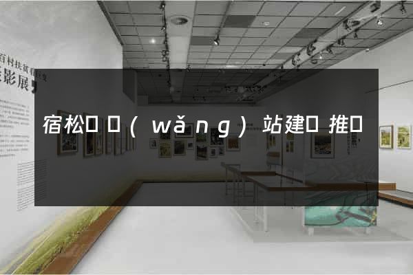 宿松縣網(wǎng)站建設推廣