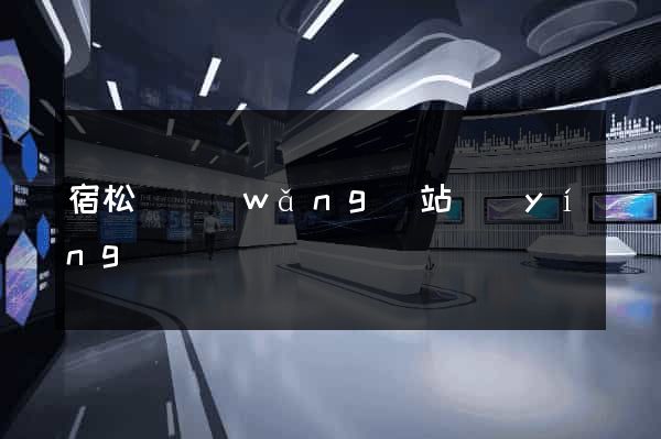 宿松縣網(wǎng)站營(yíng)銷