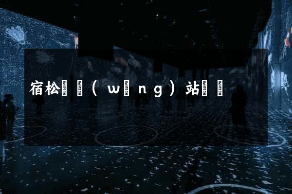 宿松縣網(wǎng)站營銷