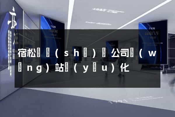 宿松縣設(shè)計公司網(wǎng)站優(yōu)化