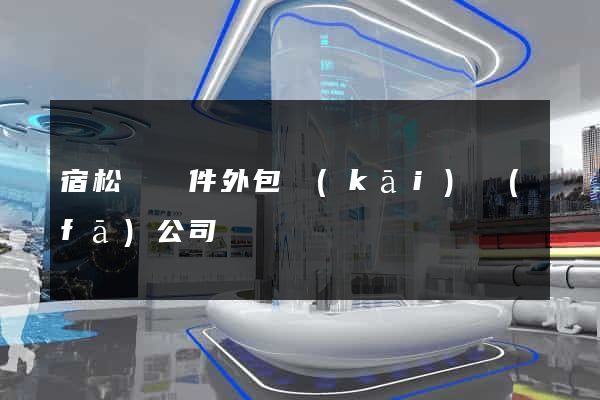 宿松縣軟件外包開(kāi)發(fā)公司