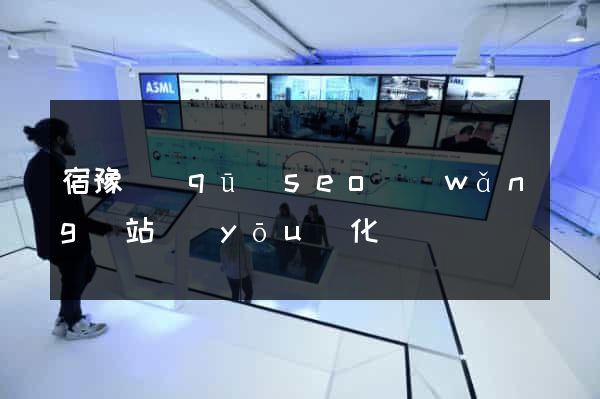 宿豫區(qū)seo網(wǎng)站優(yōu)化