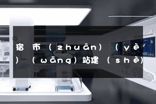 宿遷市專(zhuān)業(yè)網(wǎng)站建設(shè)