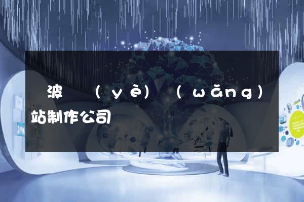 寧波專業(yè)網(wǎng)站制作公司