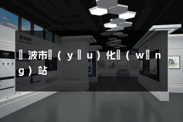 寧波市優(yōu)化網(wǎng)站