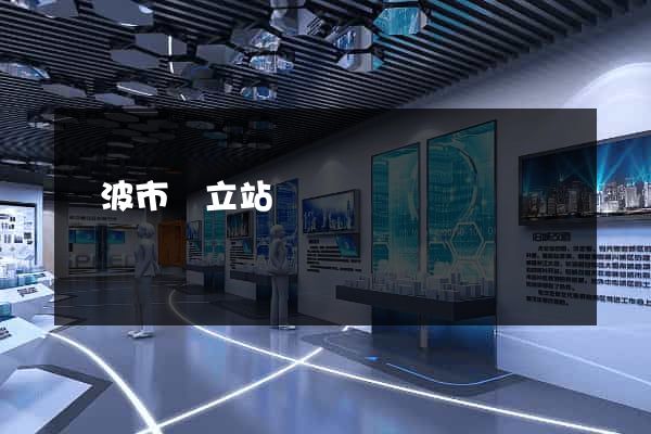 寧波市獨立站運營