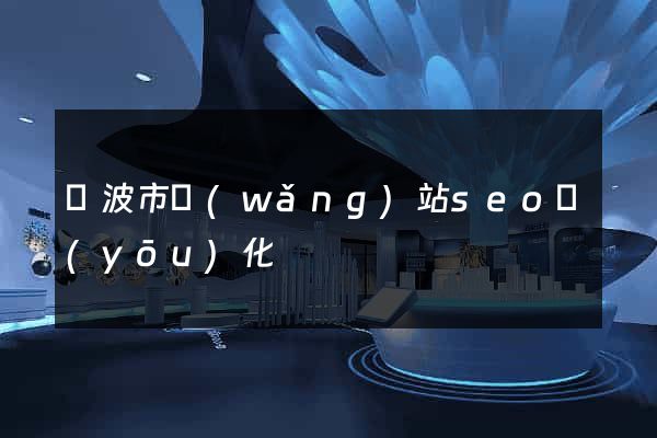 寧波市網(wǎng)站seo優(yōu)化