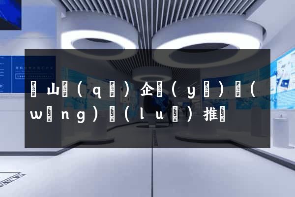 寶山區(qū)企業(yè)網(wǎng)絡(luò)推廣