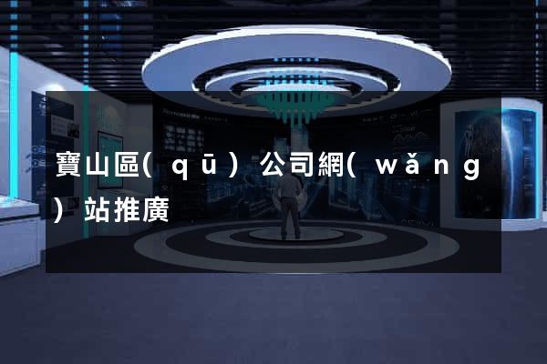 寶山區(qū)公司網(wǎng)站推廣