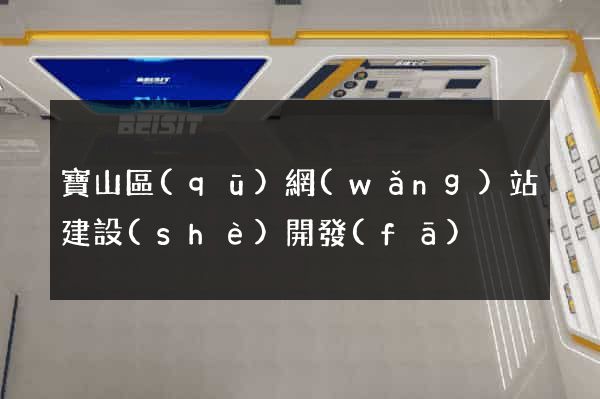 寶山區(qū)網(wǎng)站建設(shè)開發(fā)