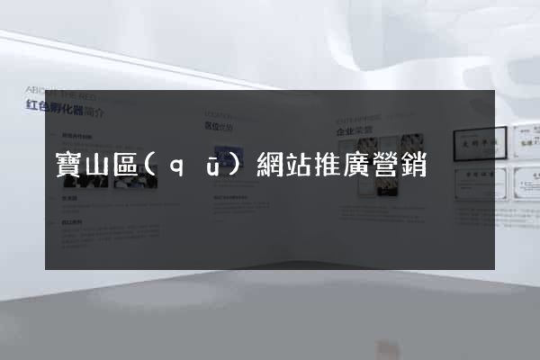 寶山區(qū)網站推廣營銷