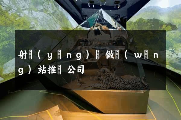 射陽(yáng)縣做網(wǎng)站推廣公司
