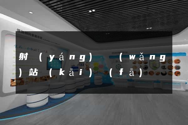 射陽(yáng)縣網(wǎng)站開(kāi)發(fā)