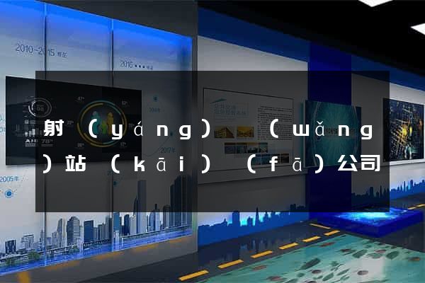 射陽(yáng)縣網(wǎng)站開(kāi)發(fā)公司