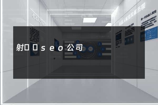 射陽縣seo公司