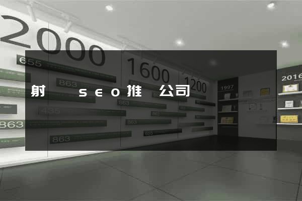 射陽縣seo推廣公司