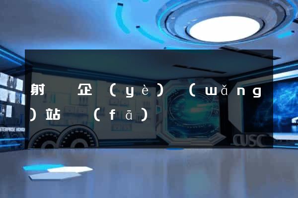 射陽縣企業(yè)網(wǎng)站開發(fā)