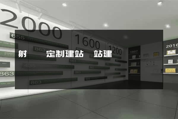 射陽縣定制建站網站建設