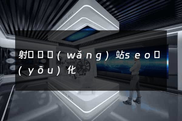 射陽縣網(wǎng)站seo優(yōu)化