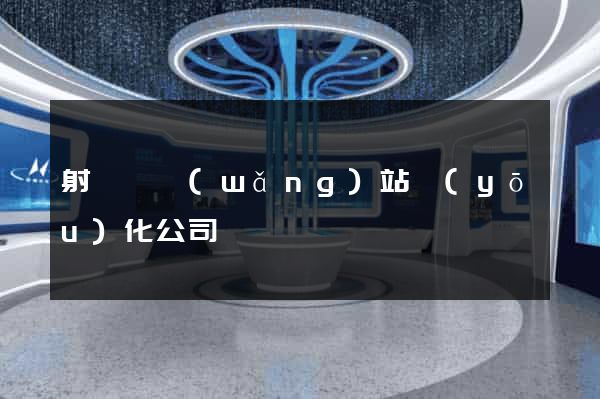 射陽縣網(wǎng)站優(yōu)化公司