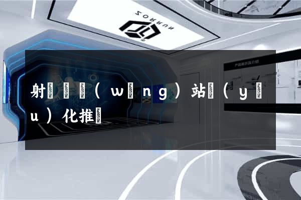 射陽縣網(wǎng)站優(yōu)化推廣