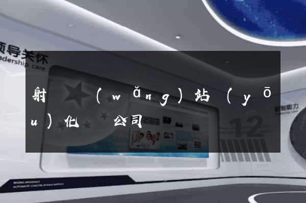 射陽縣網(wǎng)站優(yōu)化設計公司