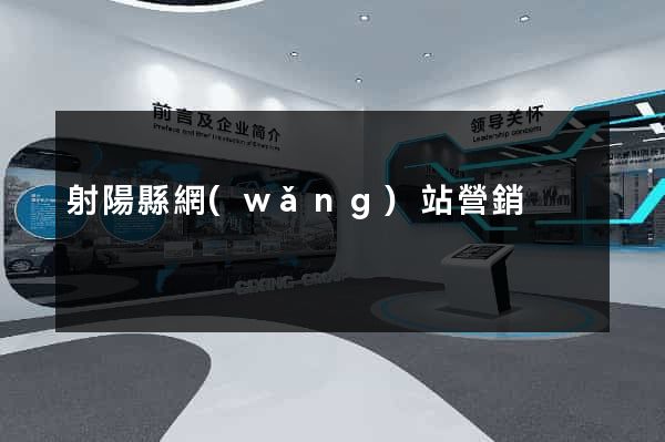 射陽縣網(wǎng)站營銷
