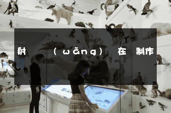 射陽縣網(wǎng)頁在線制作
