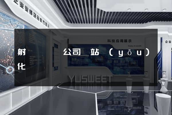 射陽縣設計公司網站優(yōu)化