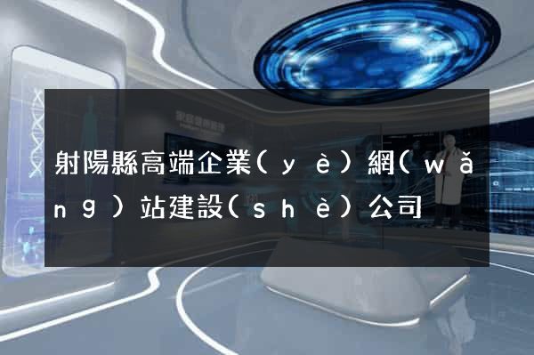 射陽縣高端企業(yè)網(wǎng)站建設(shè)公司