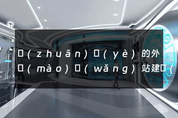 專(zhuān)業(yè)的外貿(mào)網(wǎng)站建設(shè)