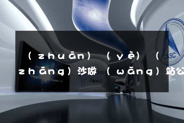 專(zhuān)業(yè)長(zhǎng)沙做網(wǎng)站公司