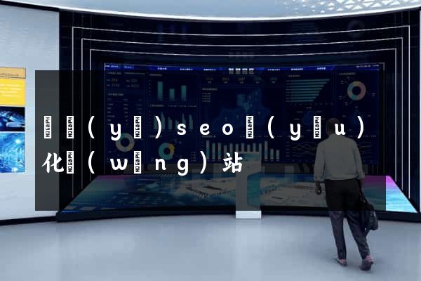 專業(yè)seo優(yōu)化網(wǎng)站