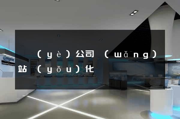 專業(yè)公司網(wǎng)站優(yōu)化