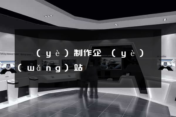 專業(yè)制作企業(yè)網(wǎng)站