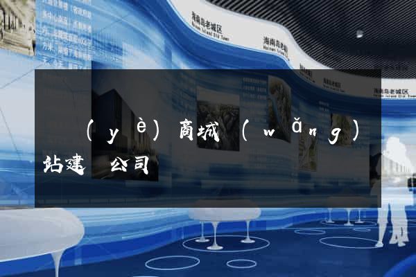 專業(yè)商城網(wǎng)站建設公司
