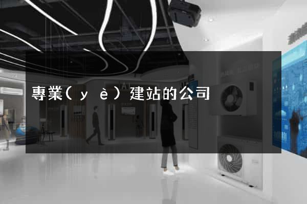專業(yè)建站的公司