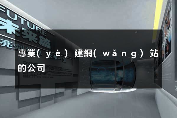 專業(yè)建網(wǎng)站的公司