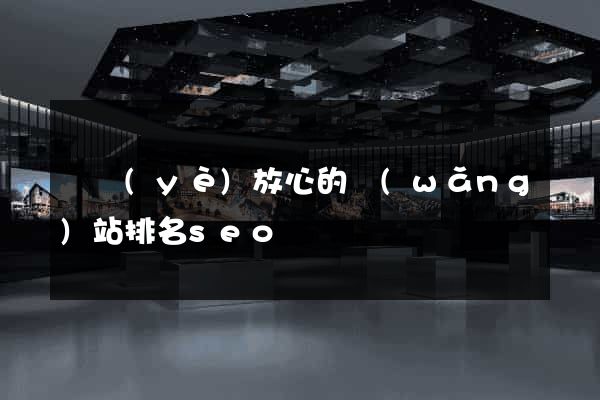 專業(yè)放心的網(wǎng)站排名seo