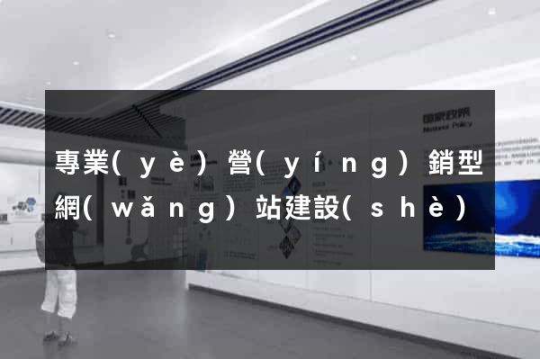 專業(yè)營(yíng)銷型網(wǎng)站建設(shè)