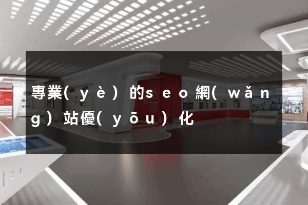 專業(yè)的seo網(wǎng)站優(yōu)化