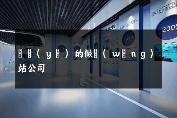 專業(yè)的做網(wǎng)站公司