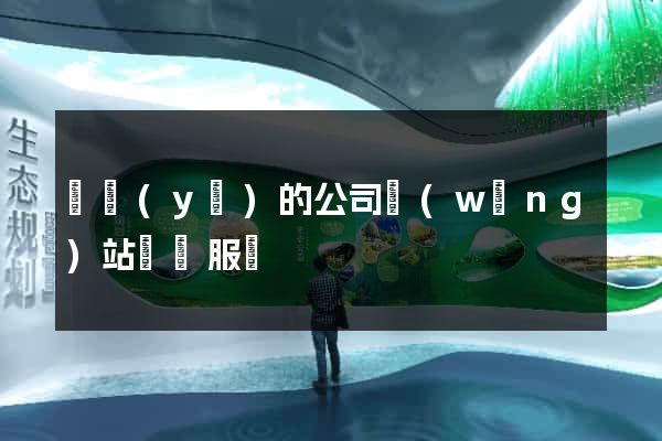 專業(yè)的公司網(wǎng)站設計服務