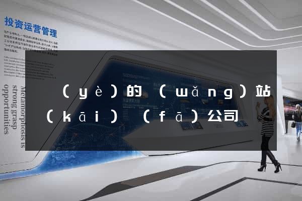 專業(yè)的網(wǎng)站開(kāi)發(fā)公司