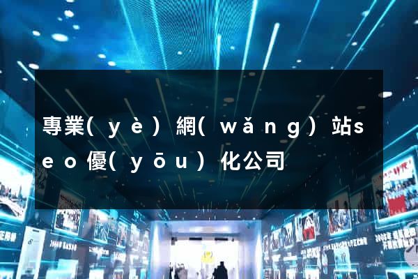專業(yè)網(wǎng)站seo優(yōu)化公司