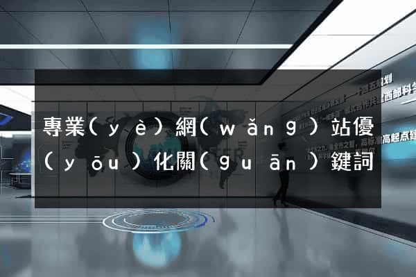 專業(yè)網(wǎng)站優(yōu)化關(guān)鍵詞